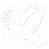 non-profit non-profit